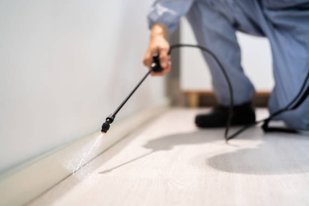 Bed Bug Pre-Treatment Preparation Assessment in Winlock