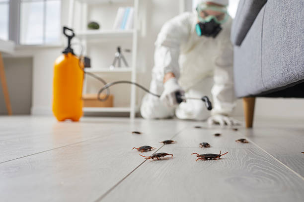 Post-Treatment Bed Bug Interceptor Monitoring in Winlock