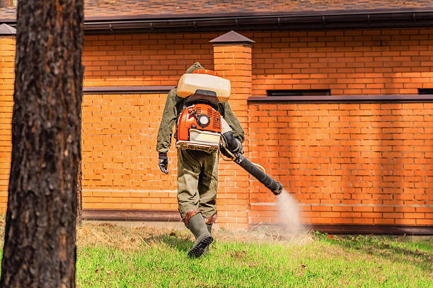 Bed Bug Clearance Verification and Documentation in Winlock